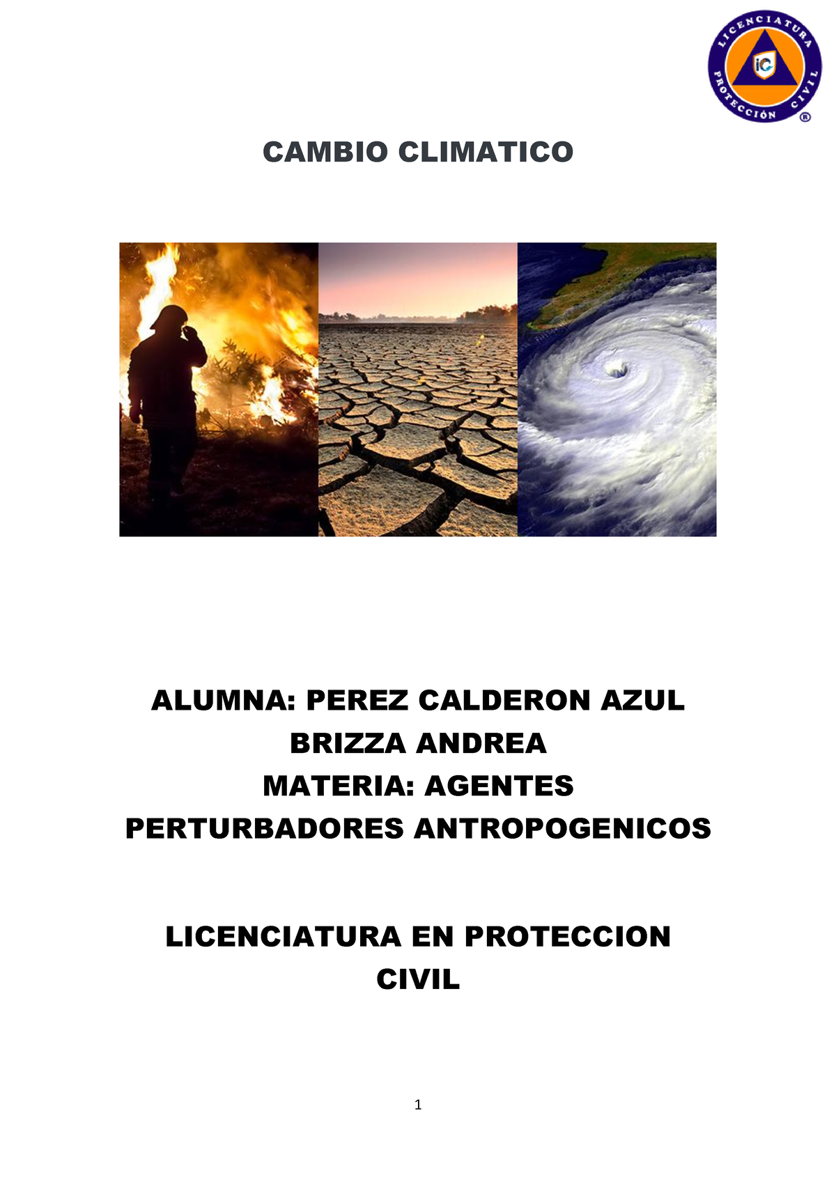 Ensayo Cambio Climatico - CAMBIO CLIMATICO ALUMNA: PEREZ CALDERON AZUL ...