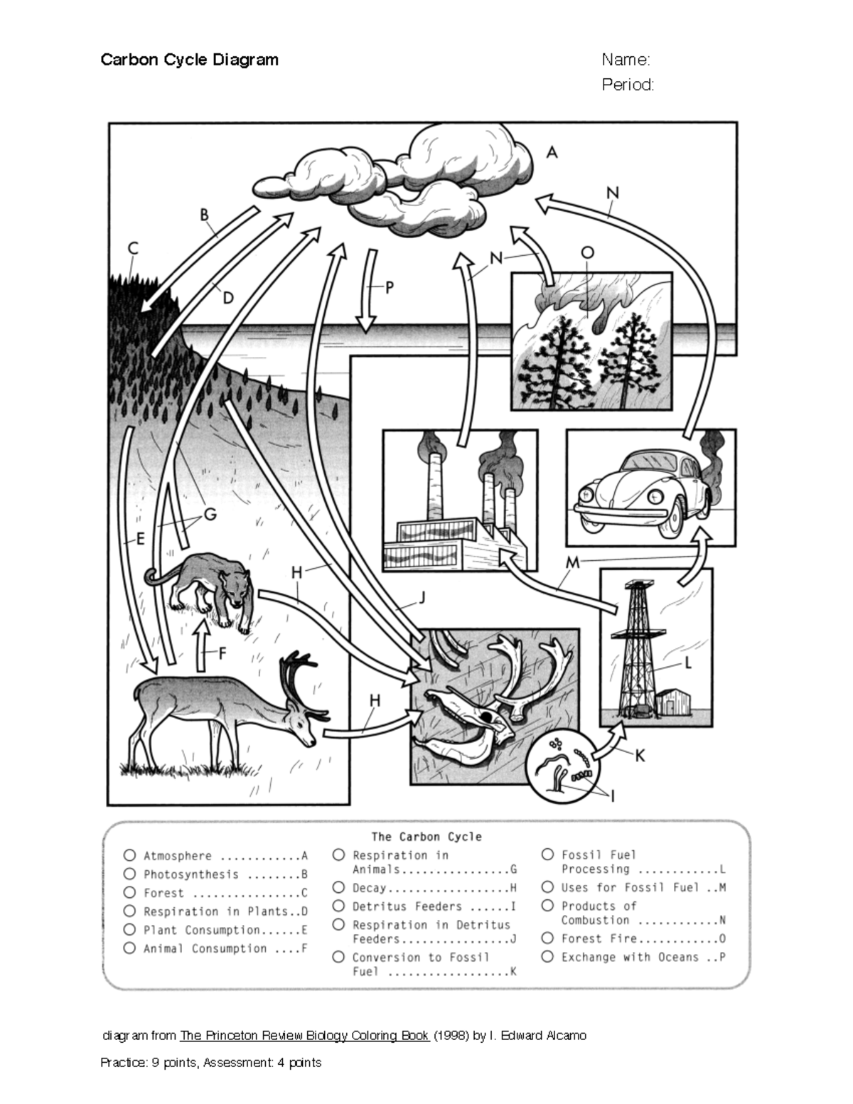 Carboncyclediagram - n/a - Period: diagram from The Princeton Review ...