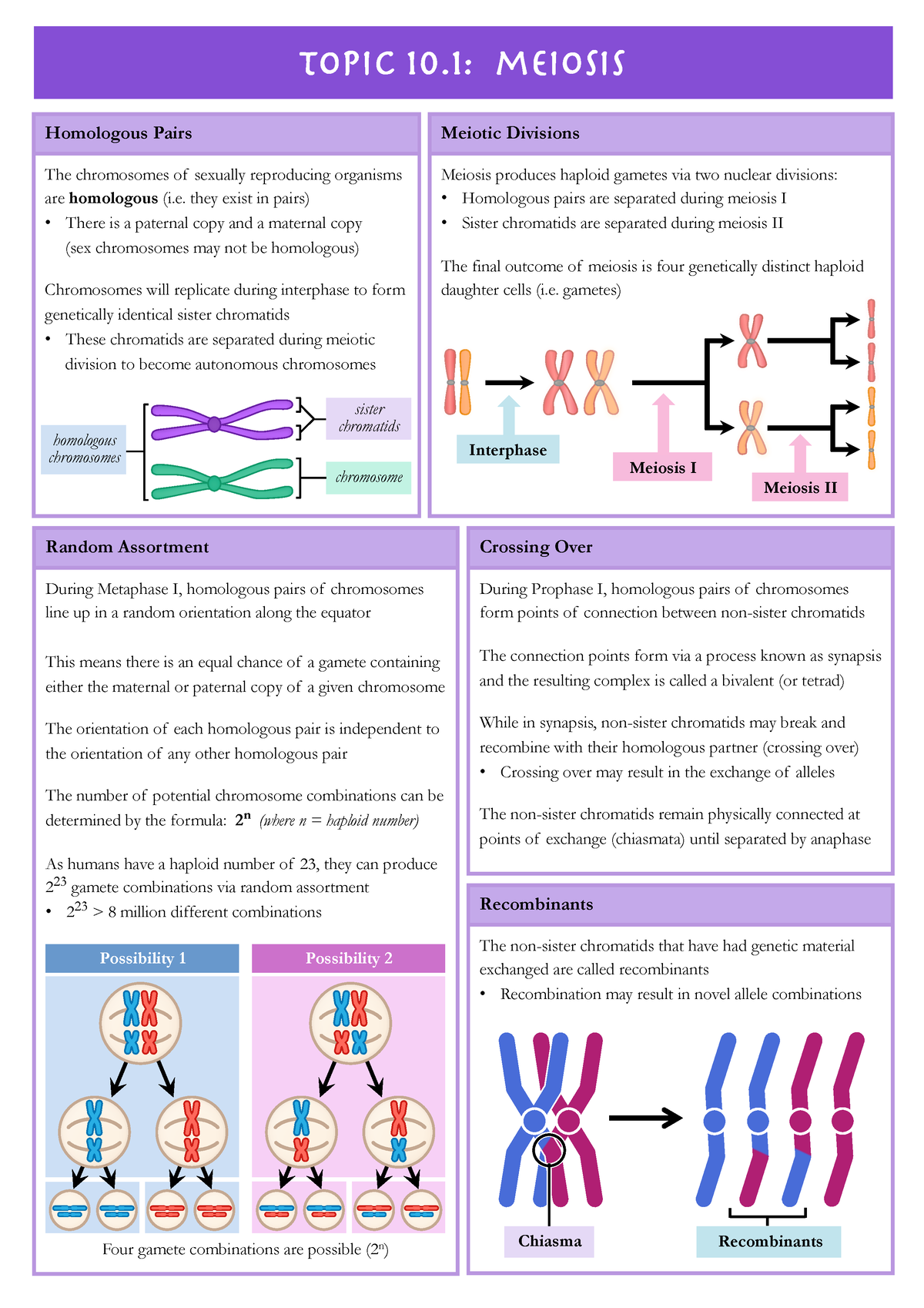 10.1 Meiosis - Apuntes - Recombinants The non-sister chromatids that ...