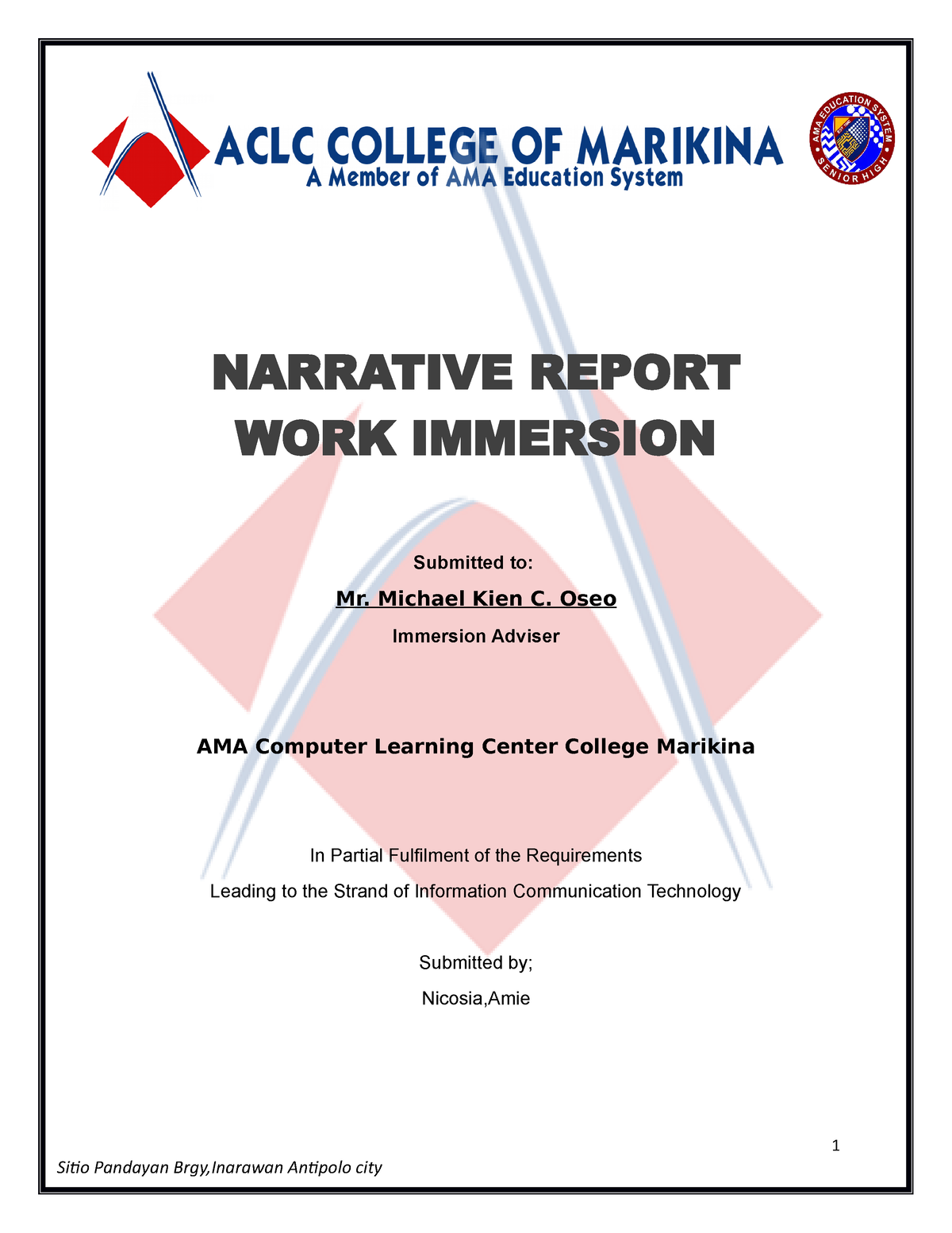 narrative-report-narrative-report-work-immersion-submitted-to-mr