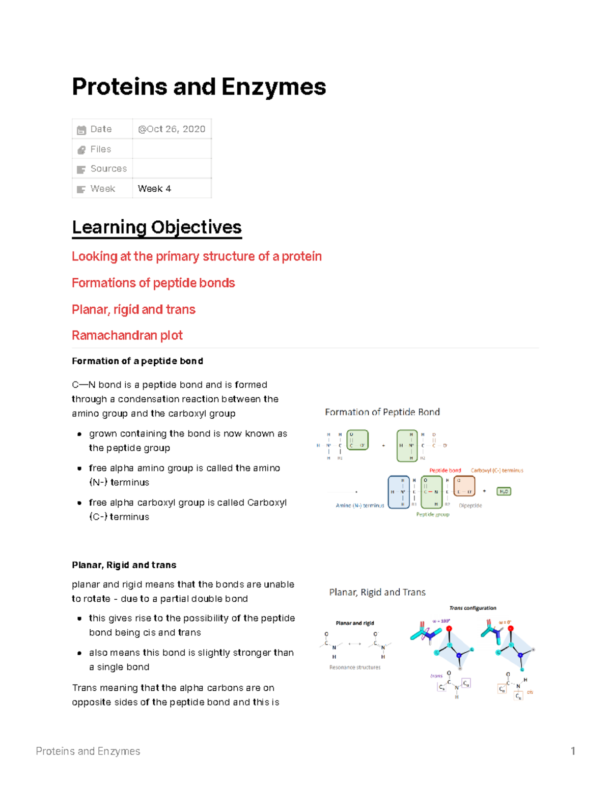 Proteins and Enzymes Lecture notes 8 Proteins and Enzymes Date