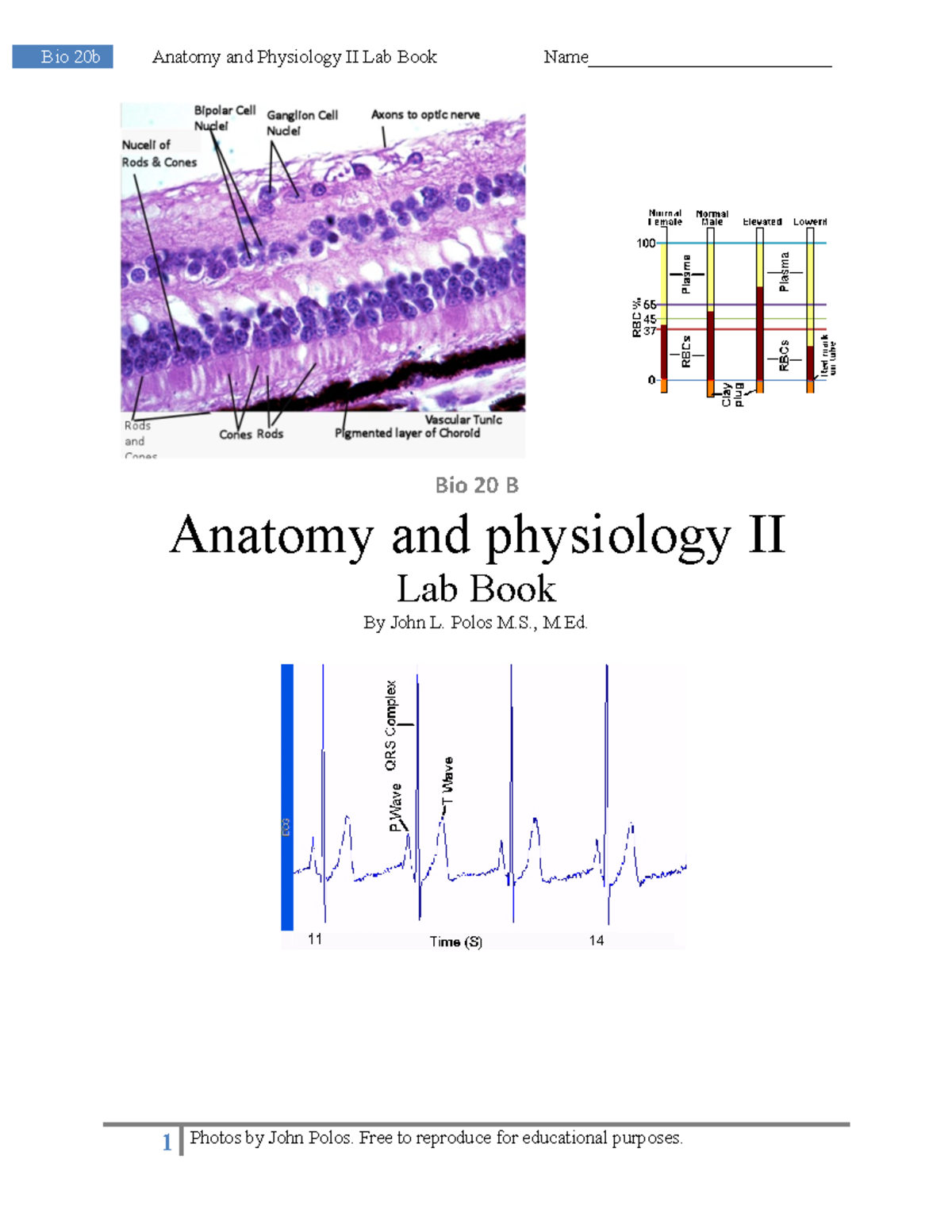 Bio 20b Lab Book Version 2 - Bio 20 B Anatomy And Physiology II Lab ...