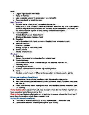 ANAT 200 - GI System I - karyne rabey - ANAT 200 – GI System I ...