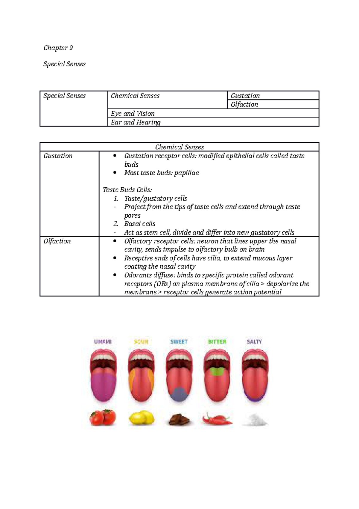 Introduction to Human Biology, Chapter 9 Senses Chapter 9 Special