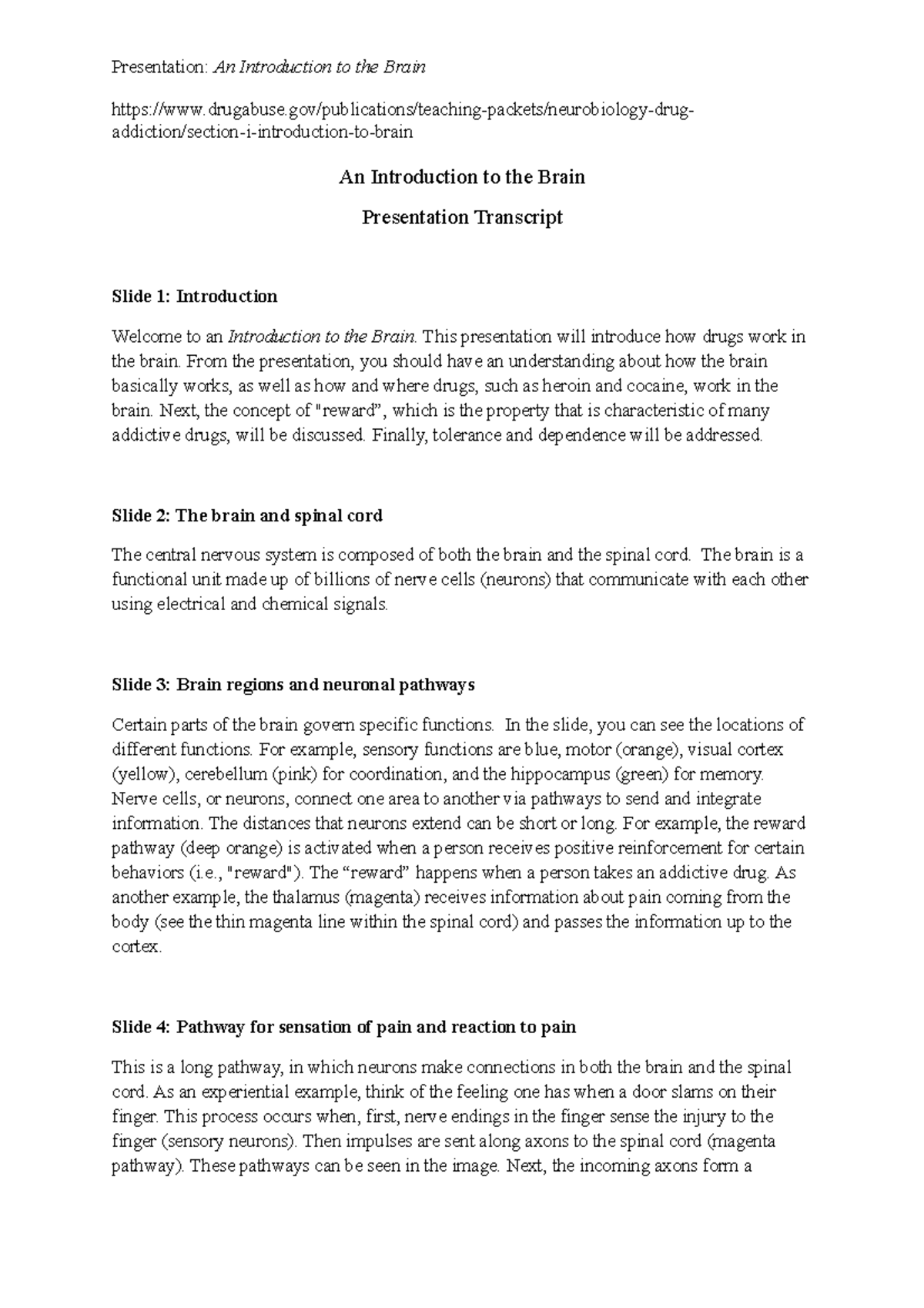 Presentation An Introduction to the Brain Transcript - - Studocu