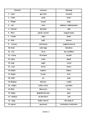 Male Reproductive System Vocabulary Notes - Vocabulary Anorchia a ...