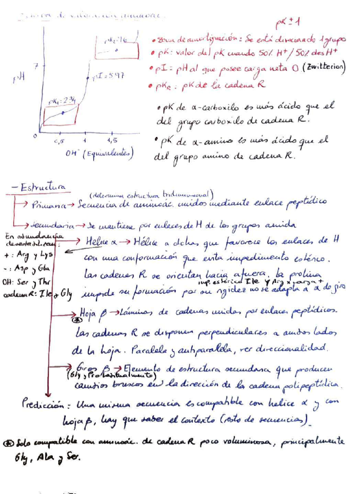Punto isoeléctrico de los aminoácidos Bioquímica Studocu Punto isoeléctrico de los aminoácidos Bioquímica Studocu
