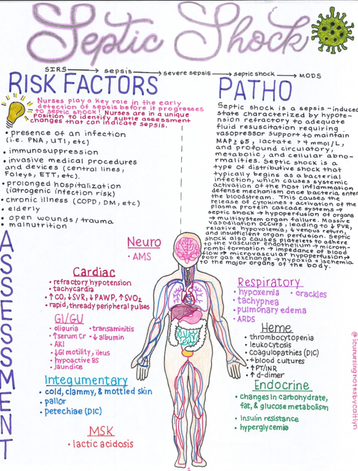 Septic Shock 1 - Summary Concepts of Nursing Practice 4 - Deptic Thock ...