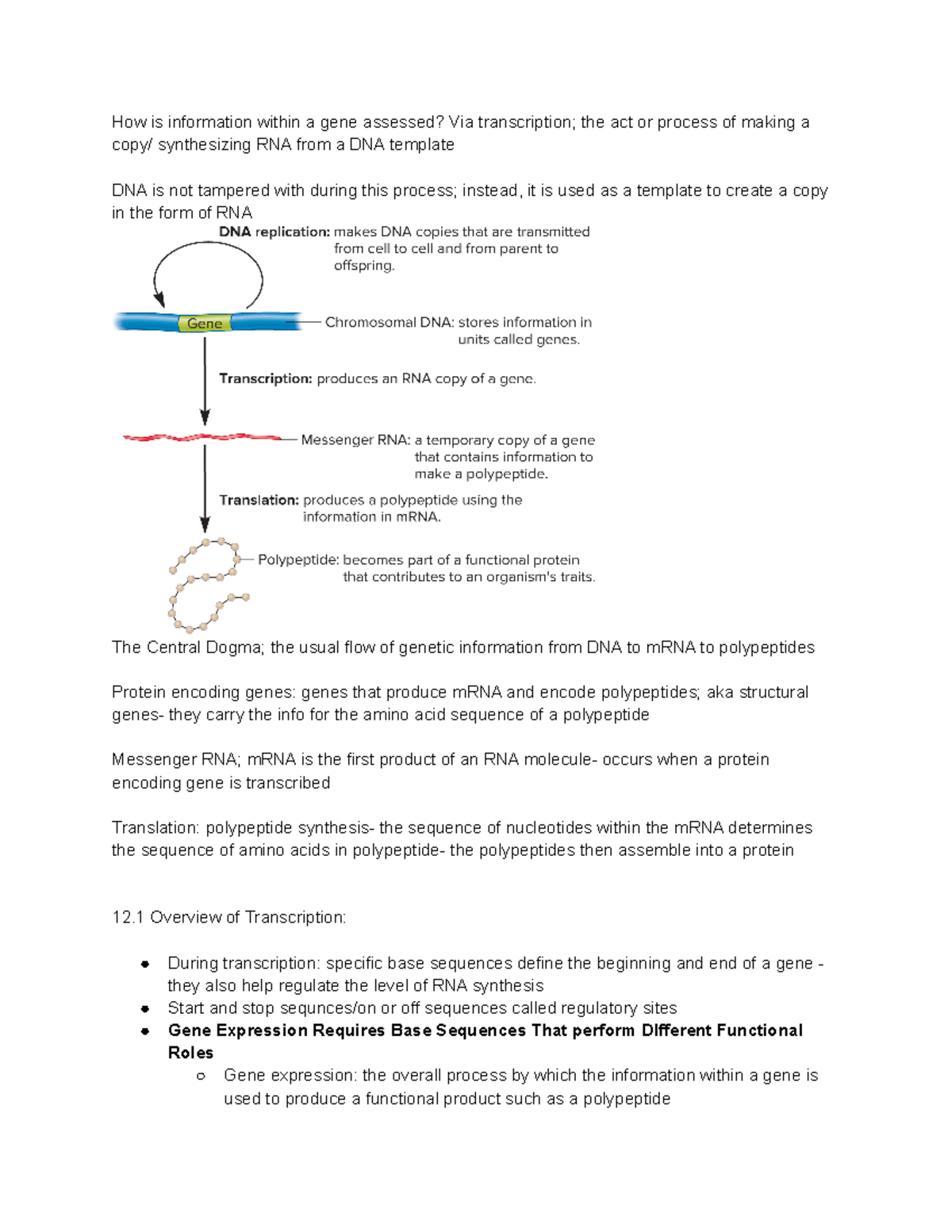 Ch. 12 Gene Transcription and RNA Modification - How is information ...