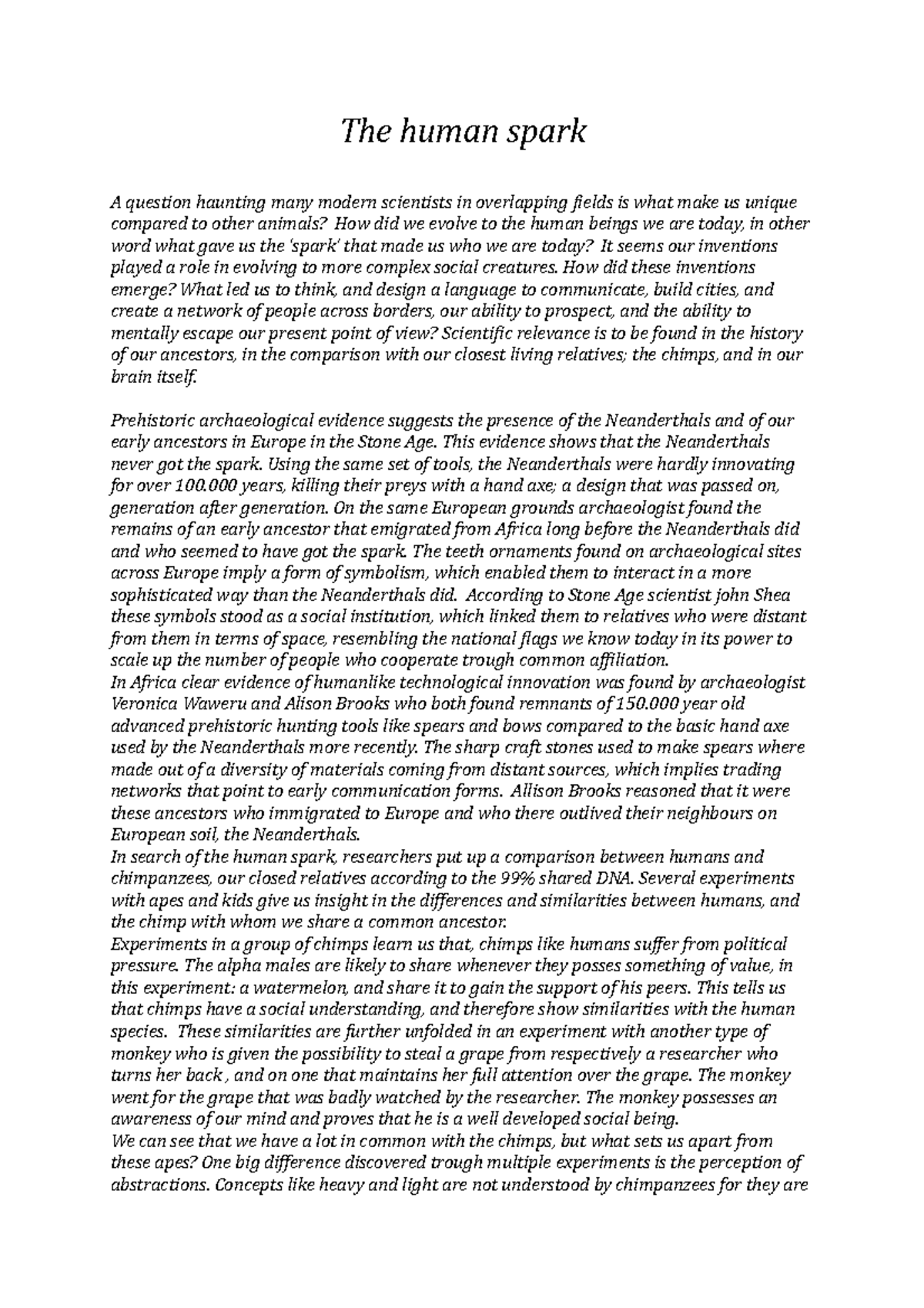 Essay 