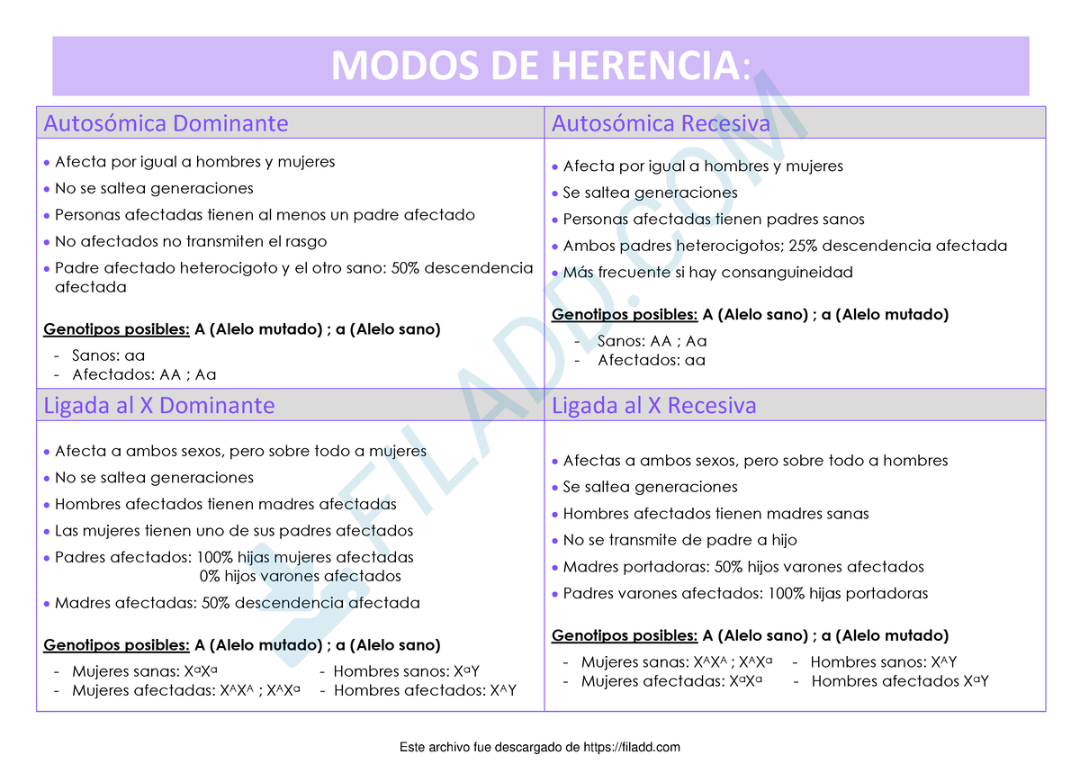 45 Cuadro Comparativo Modos DE Herencia - MODOS DE HERENCIA ...