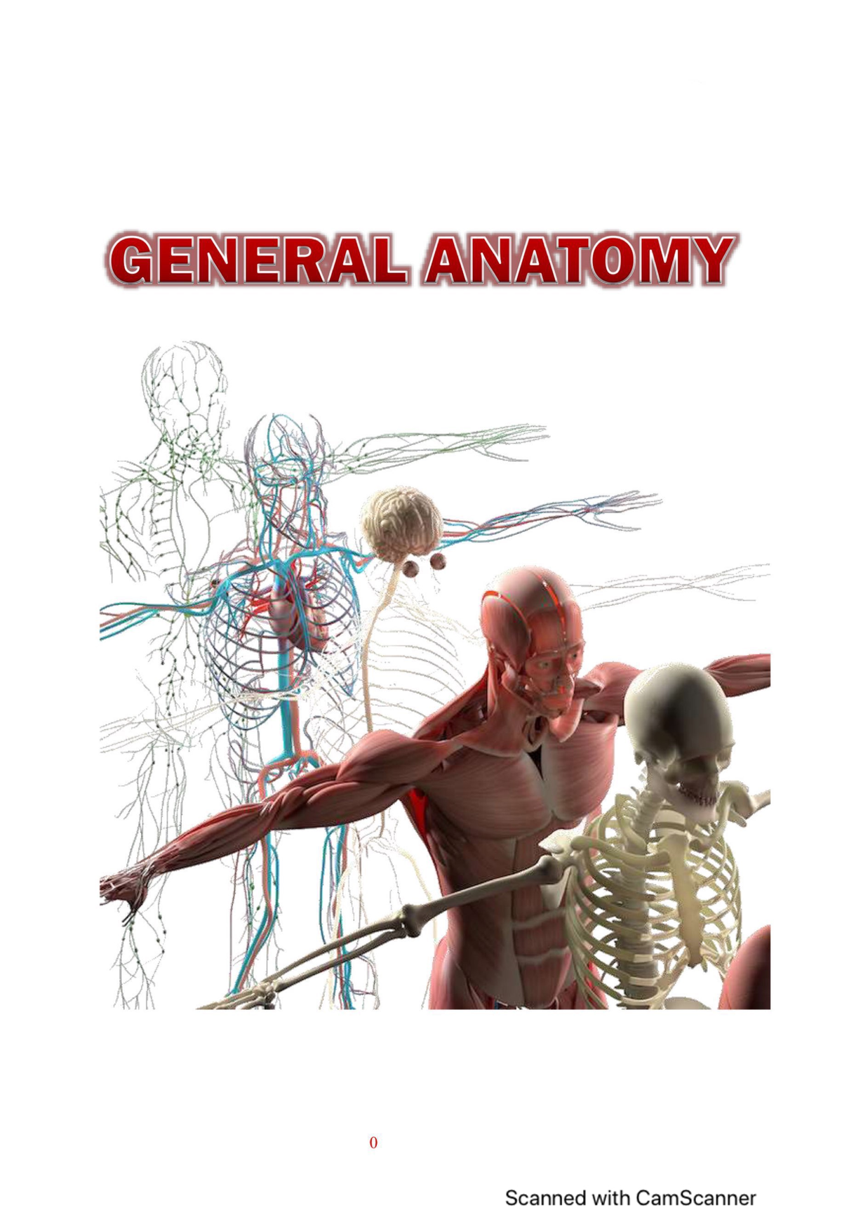 Introduction Anatomy Anatomy 2 Studocu Introduction Anatomy Anatomy 2 Studocu