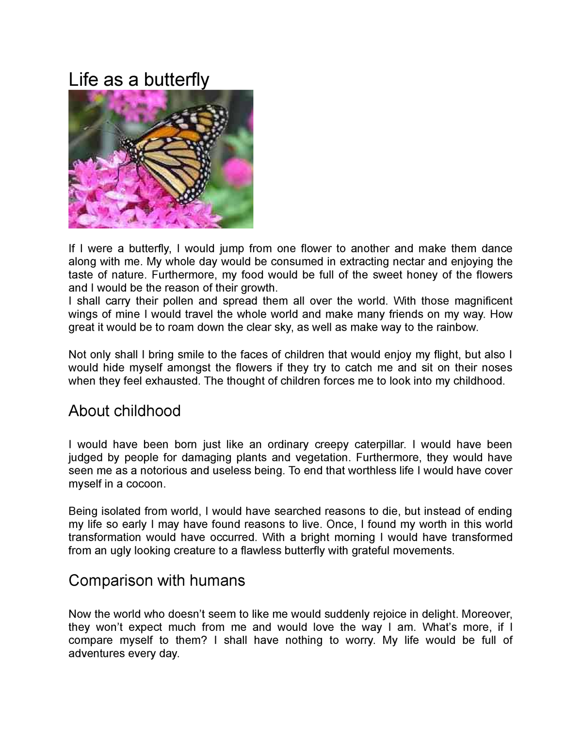 essay about butterfly in life