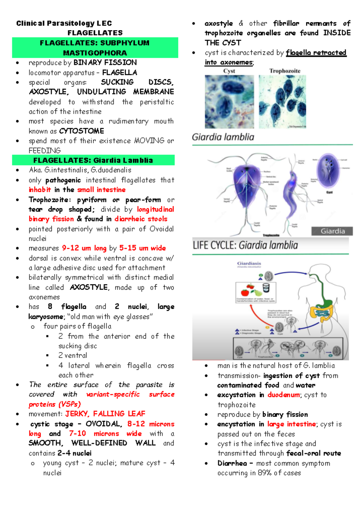 Flagellates Clinical Parasitology Lec