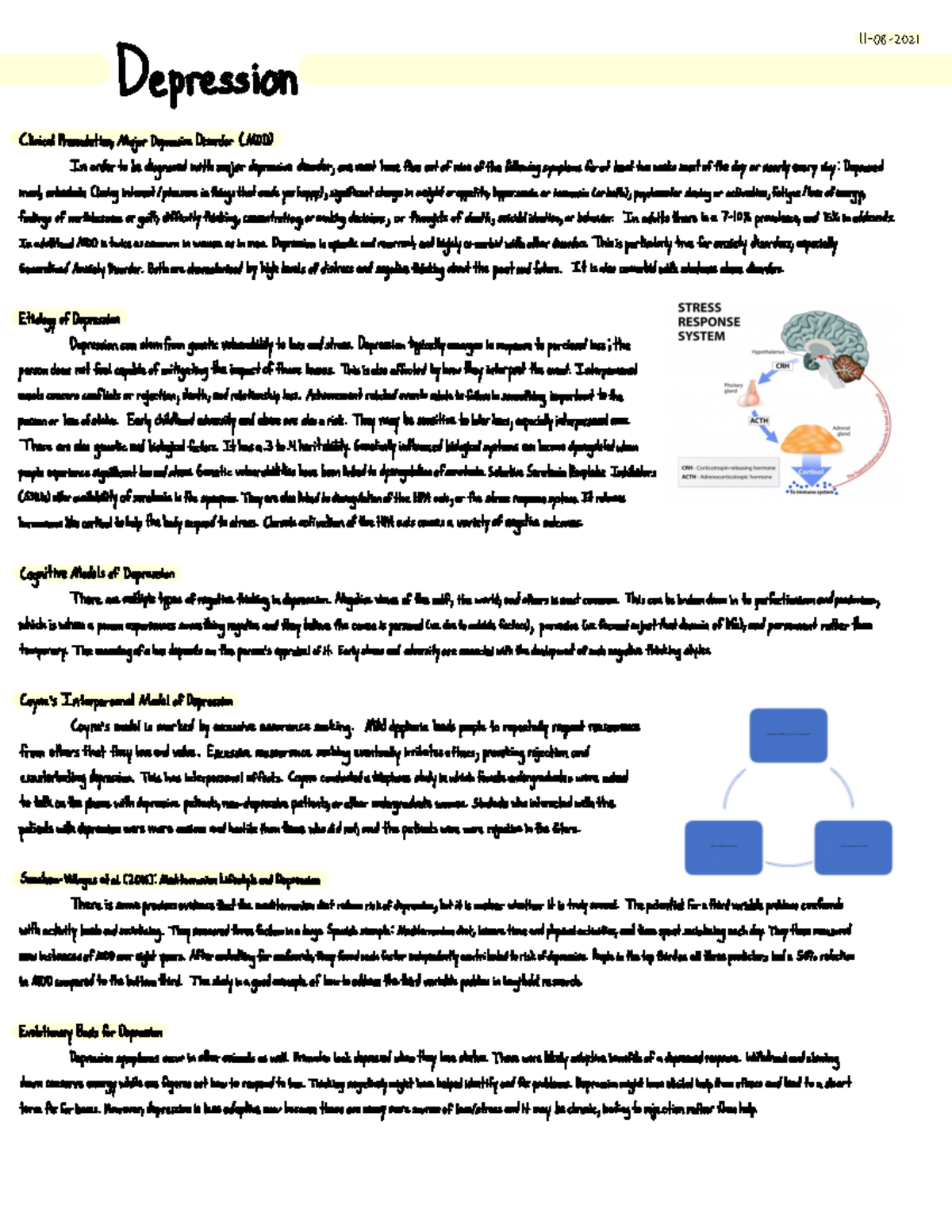 Depression - Handwritten Notes - Depression 