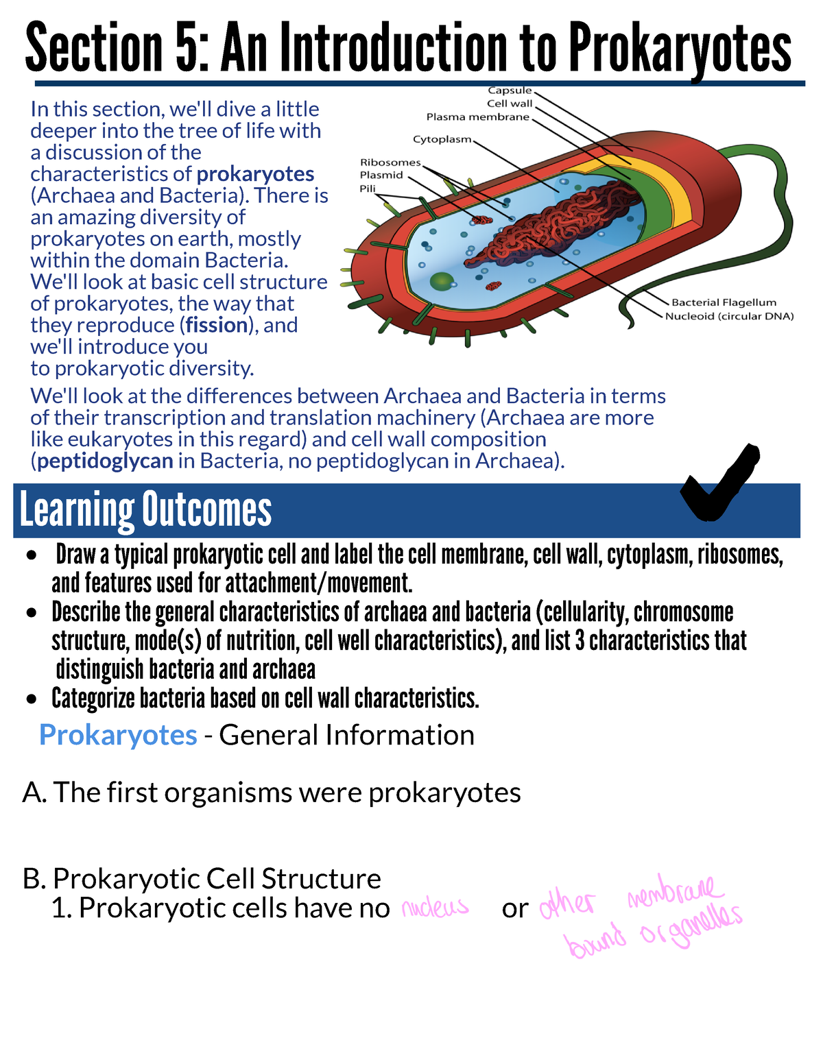 Section+5+updated Lecture notes for bio 148 Draw a typical