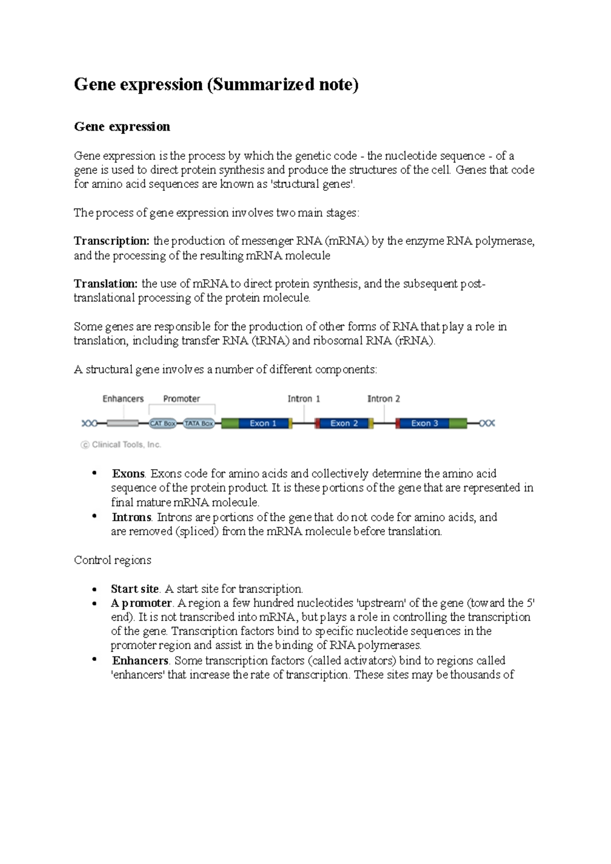 Summary of the gene expression (Transcription and Translation) - BIO ...