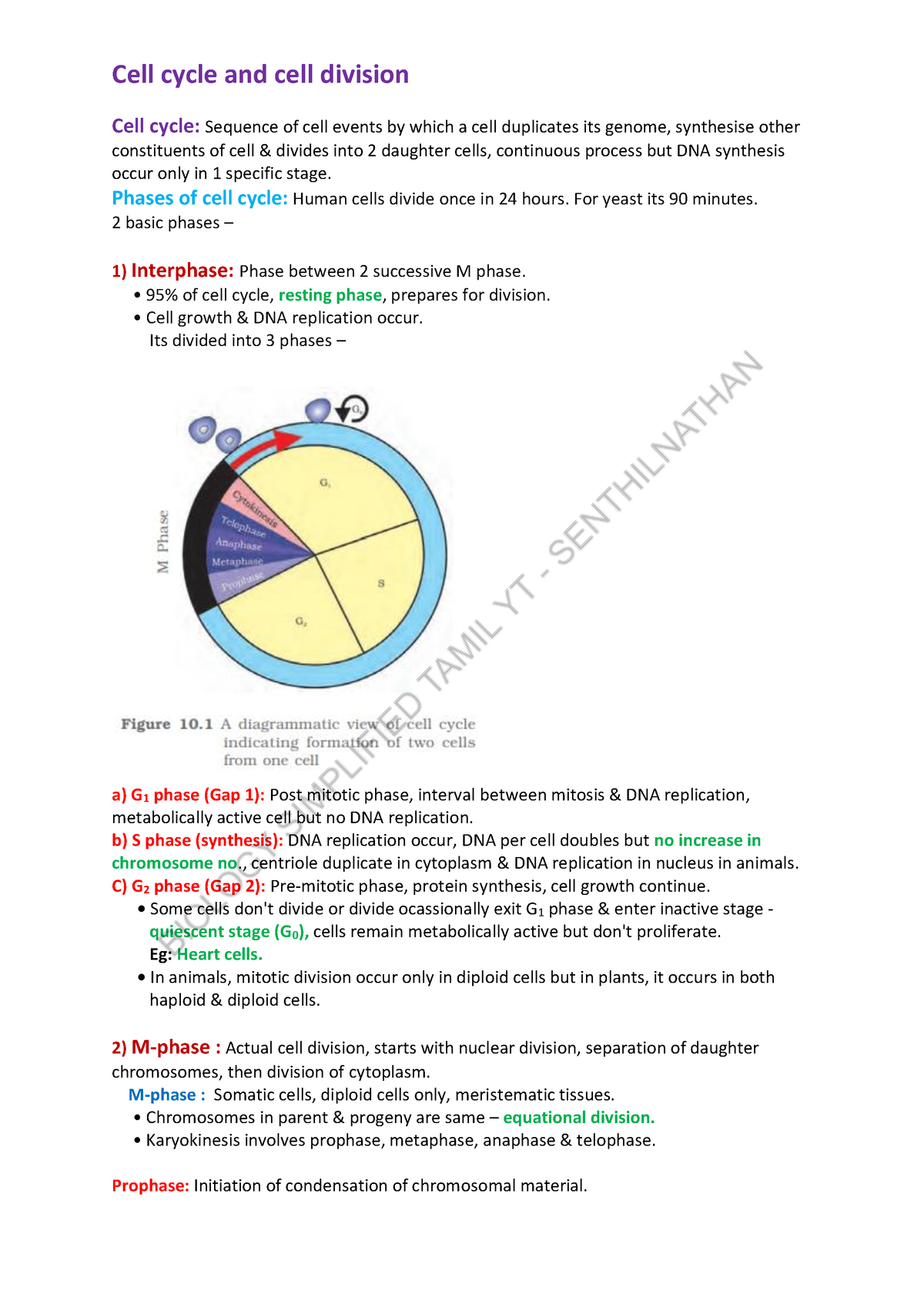 Cell cycle and cell division - BST Notes - Cell cycle: Sequence of cell ...