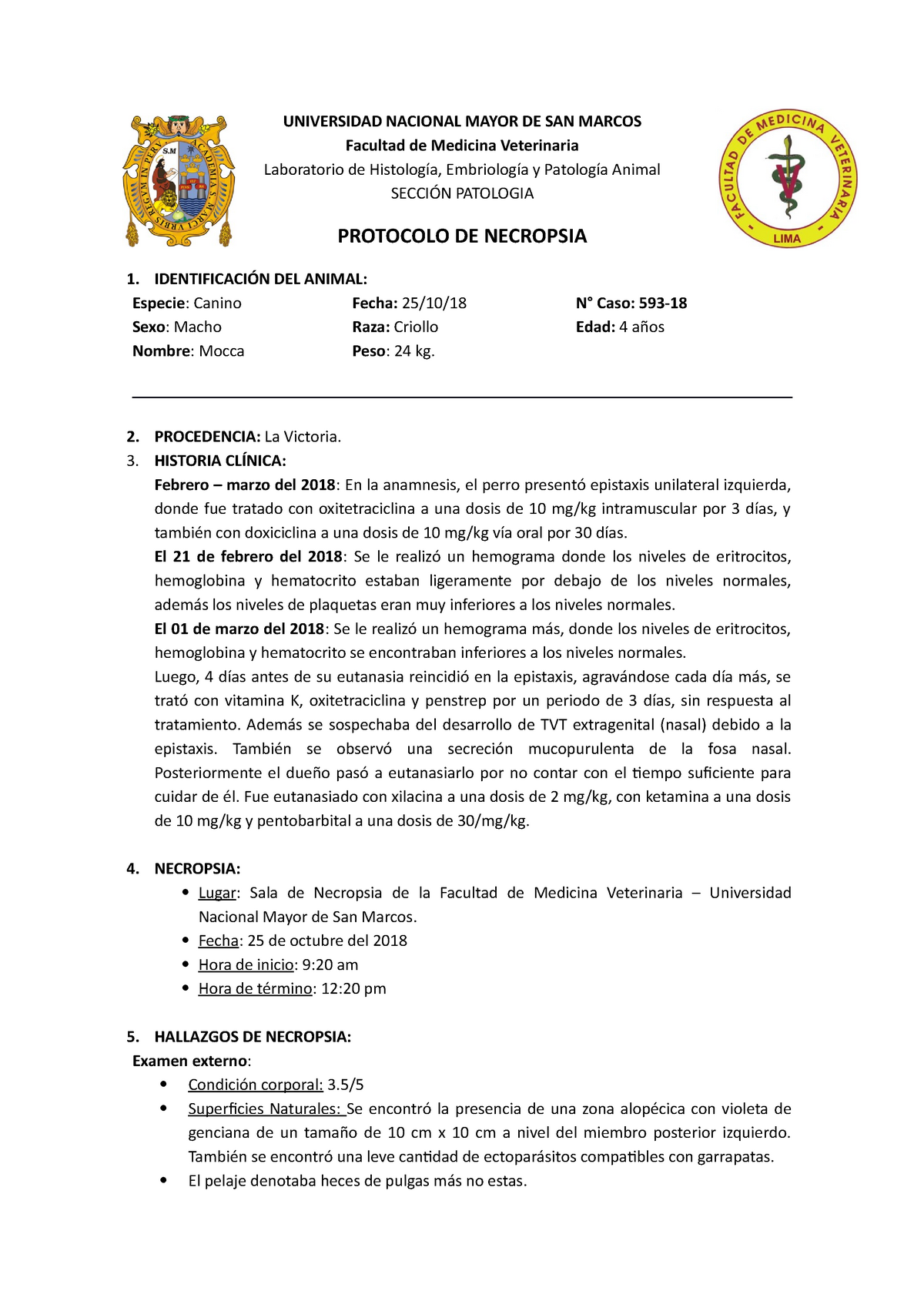 Necropsia Perro 26-10-18 - UNIVERSIDAD NACIONAL MAYOR DE SAN MARCOS  Facultad de Medicina Veterinaria - Studocu