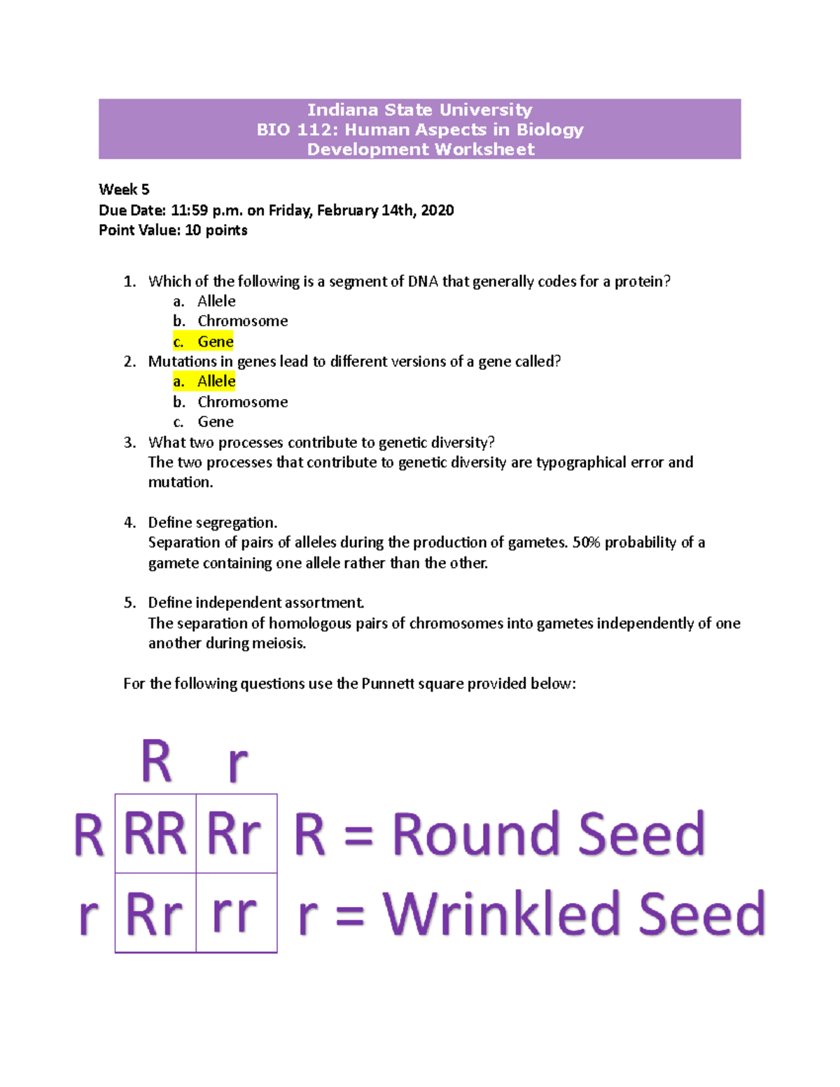 Week 20 Mendelian Genetics Worksheet - Indiana State University BIO Inside Mendelian Genetics Worksheet Answer Key