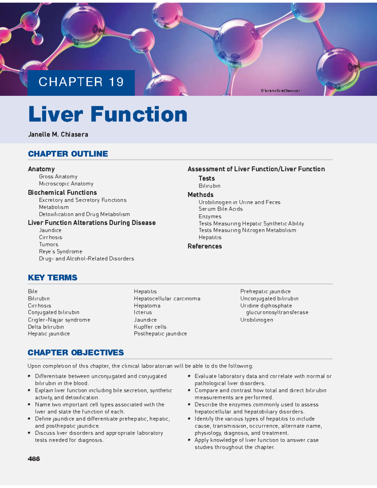 Chapter 19 - Liver Function - CHAPTER OUTLINE Anatomy Gross Anatomy ...