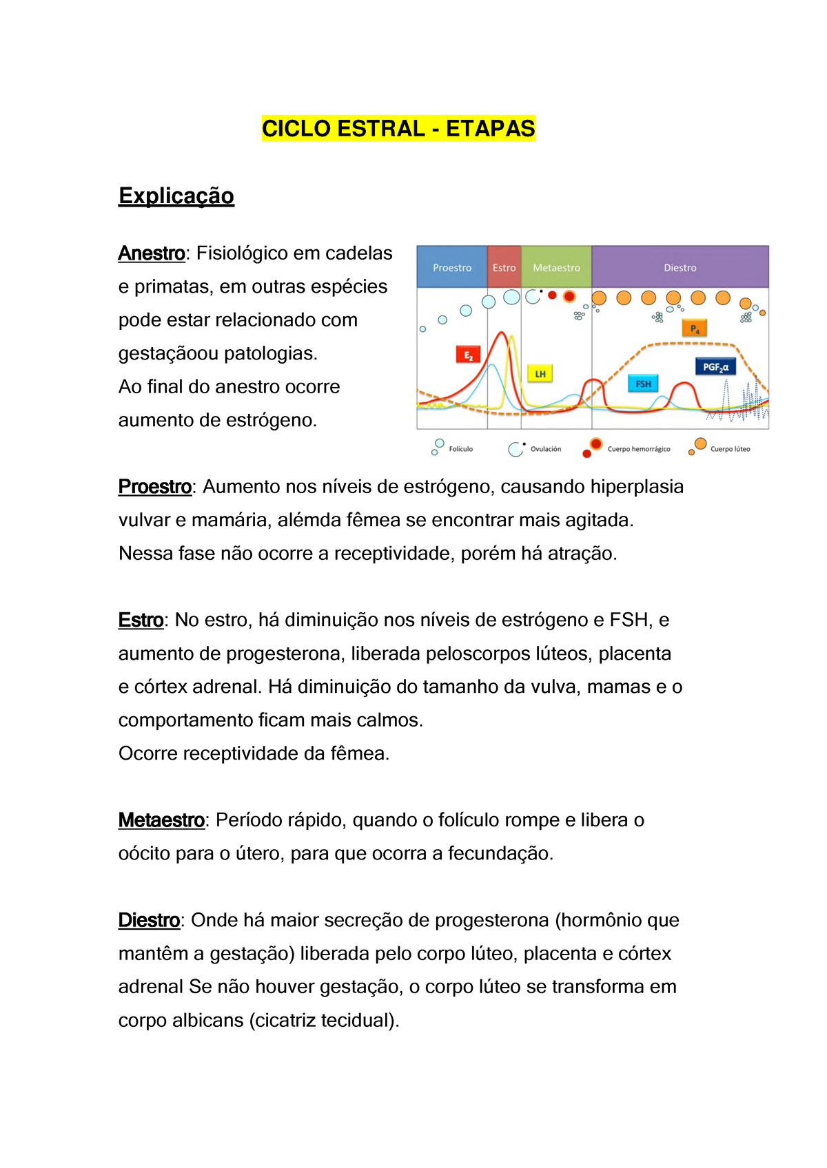 Ciclo Estral Explicativo Ciclo Estral Etapas Explicação Anestro FisiolÛgico Em Cadelas E 3832