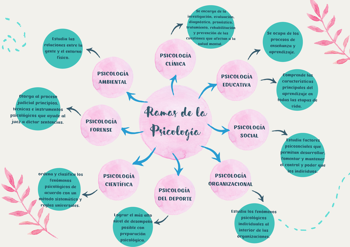 Mapa Mental Sobre Las Ramas De La Psicologia Ramas De La Psicología PsicologÍa ClÍnica 4875