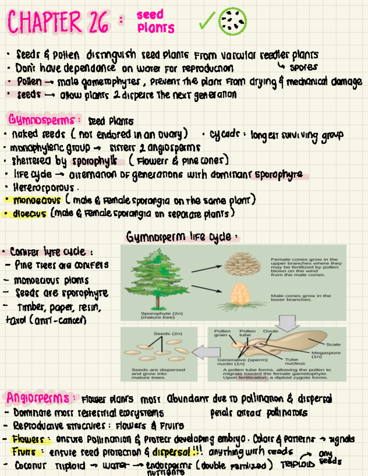 Biology II Notes - CHAPTER 26 : seed ÷ : plants seeds 4 Pollen ...