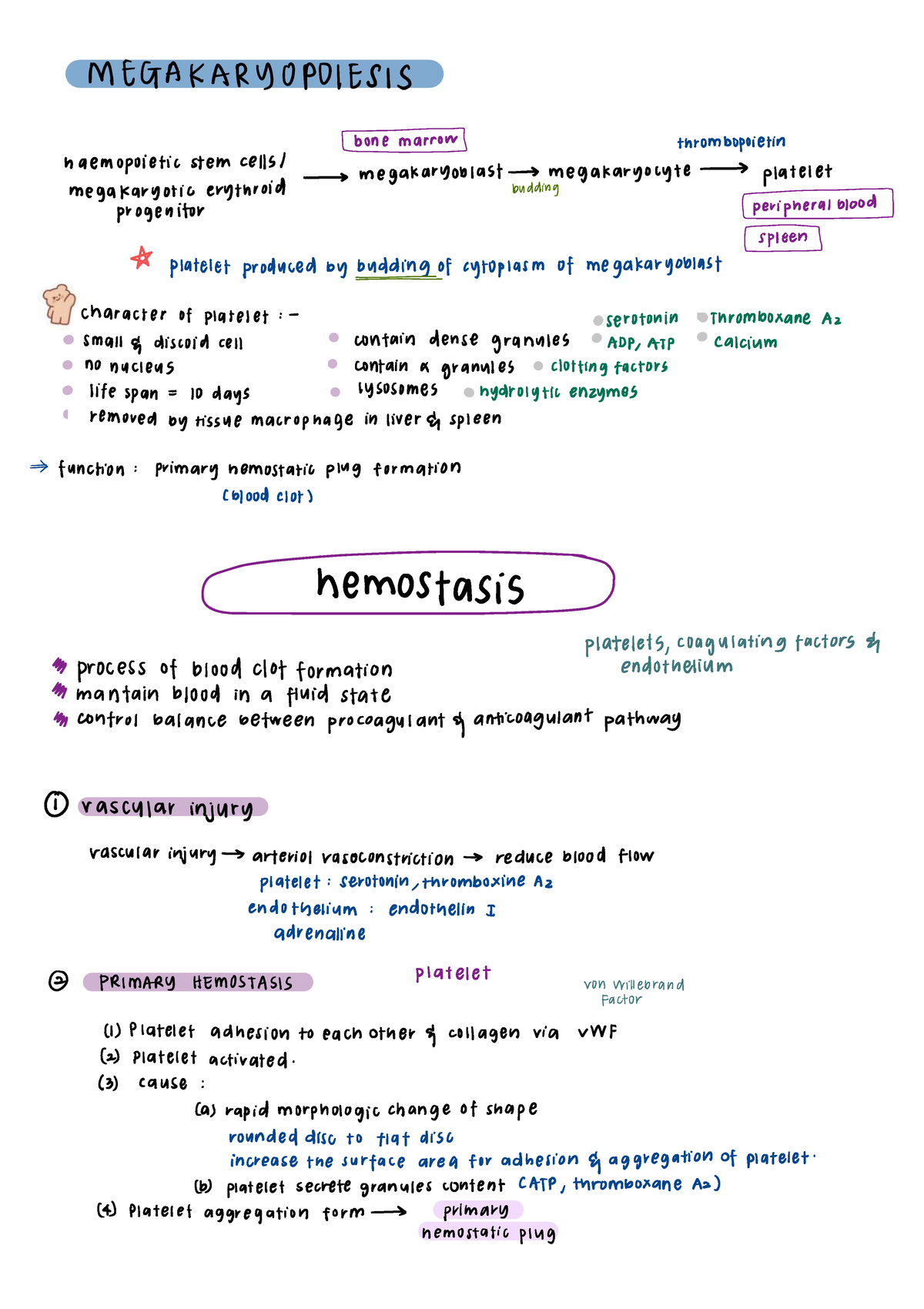 Hemostasis Blood Clotting Process Pharmacy Studocu