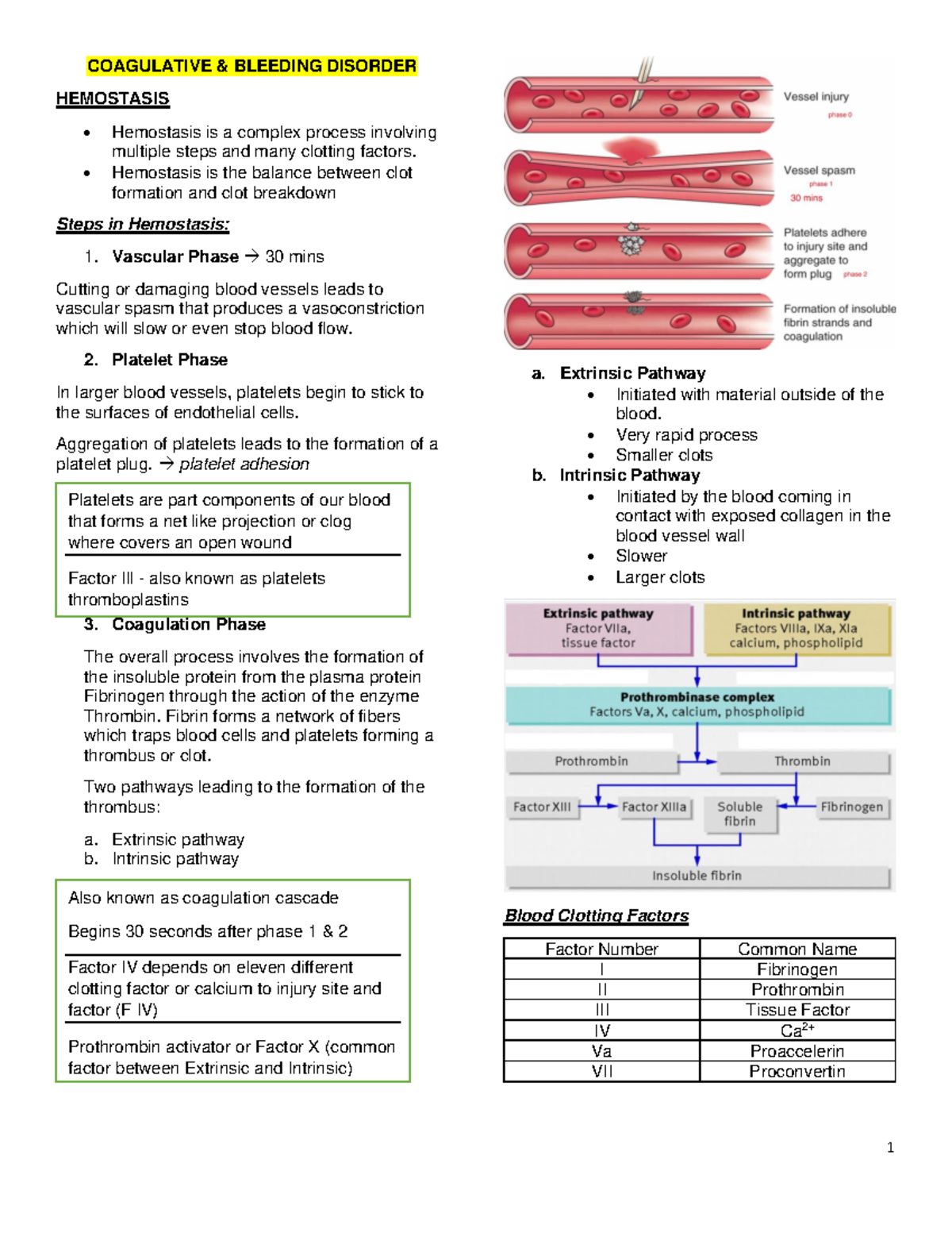 Coagulative- Bleeding- Disorder - COAGULATIVE & BLEEDING DISORDER ...