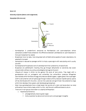 Biochemistry... Nucleotides and Nucleic acids - biomed - Studocu