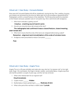 AHP105 Wk4 Virtual Lab - Week 4 Lab - Virtual Lab 1: Case Study ...