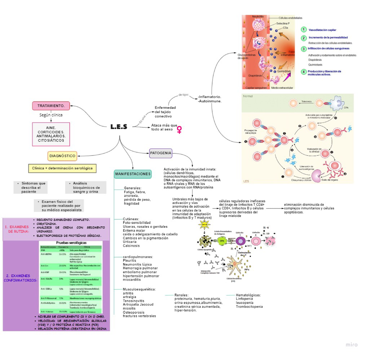 TEMA 10 Leesss - MAPA CONCEPTUAL DE LES - Patología General - Studocu