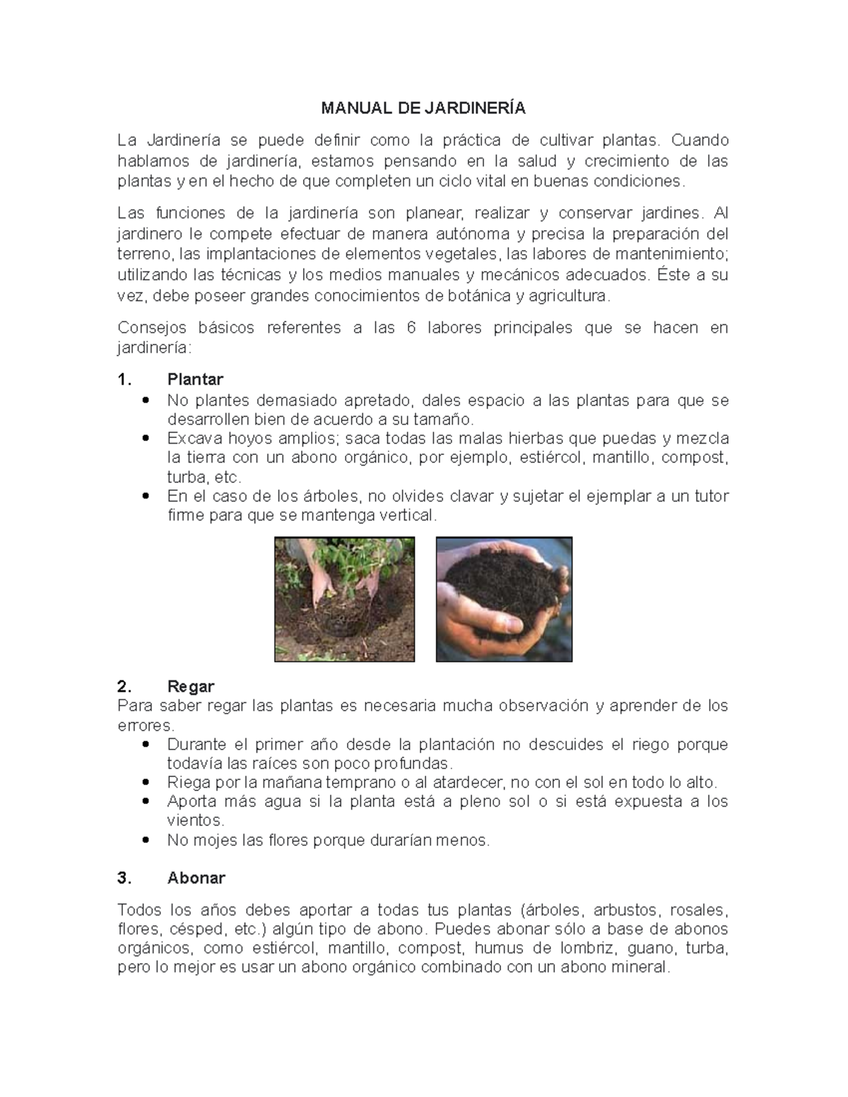 GREBSTK Herramienta De Desmalezado De Grietas, Herramienta Manual De Desmalezador De Haya Mango De Haya Herramienta De Jardineria 22 4 Pulgadas