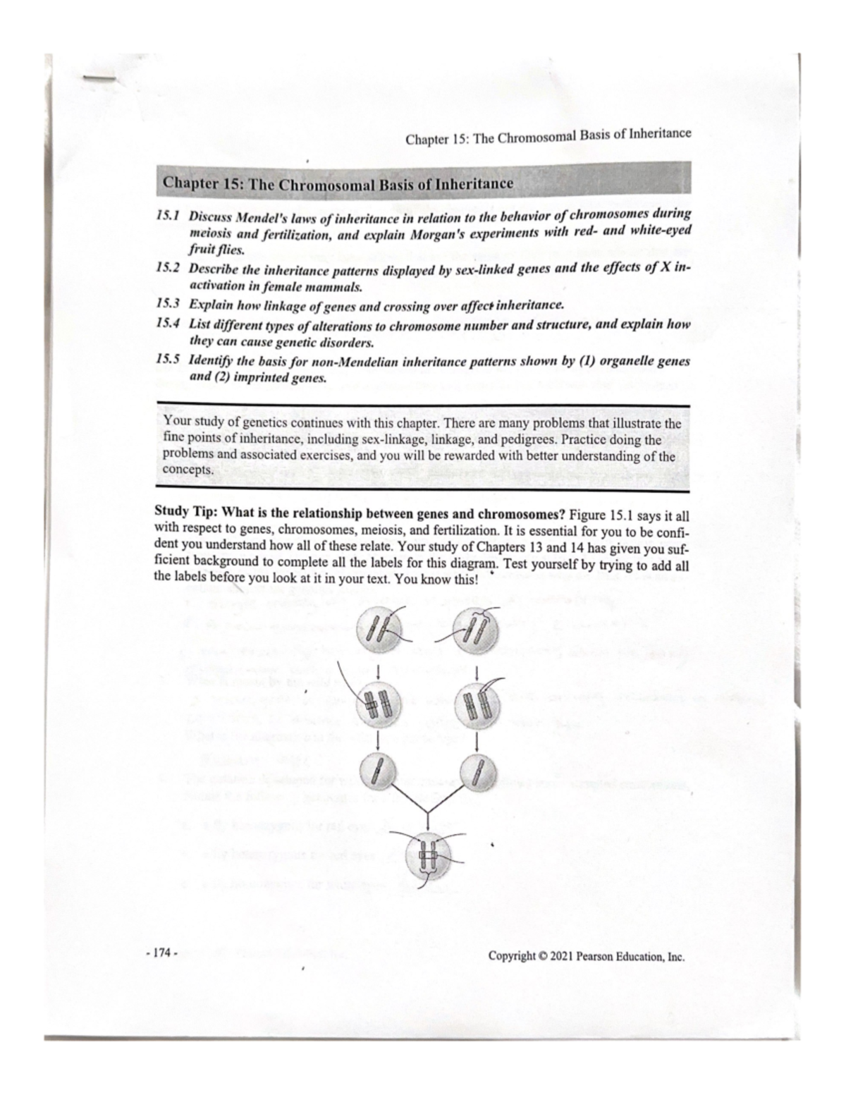 15 Study Hw - BSC2010 - Studocu