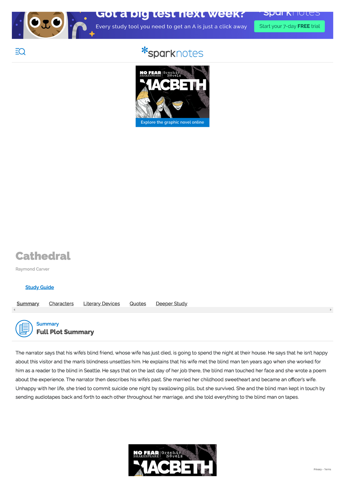 Cathedral Full Plot Summary Pdf - Cathedral Raymond Carver Summary Full ...