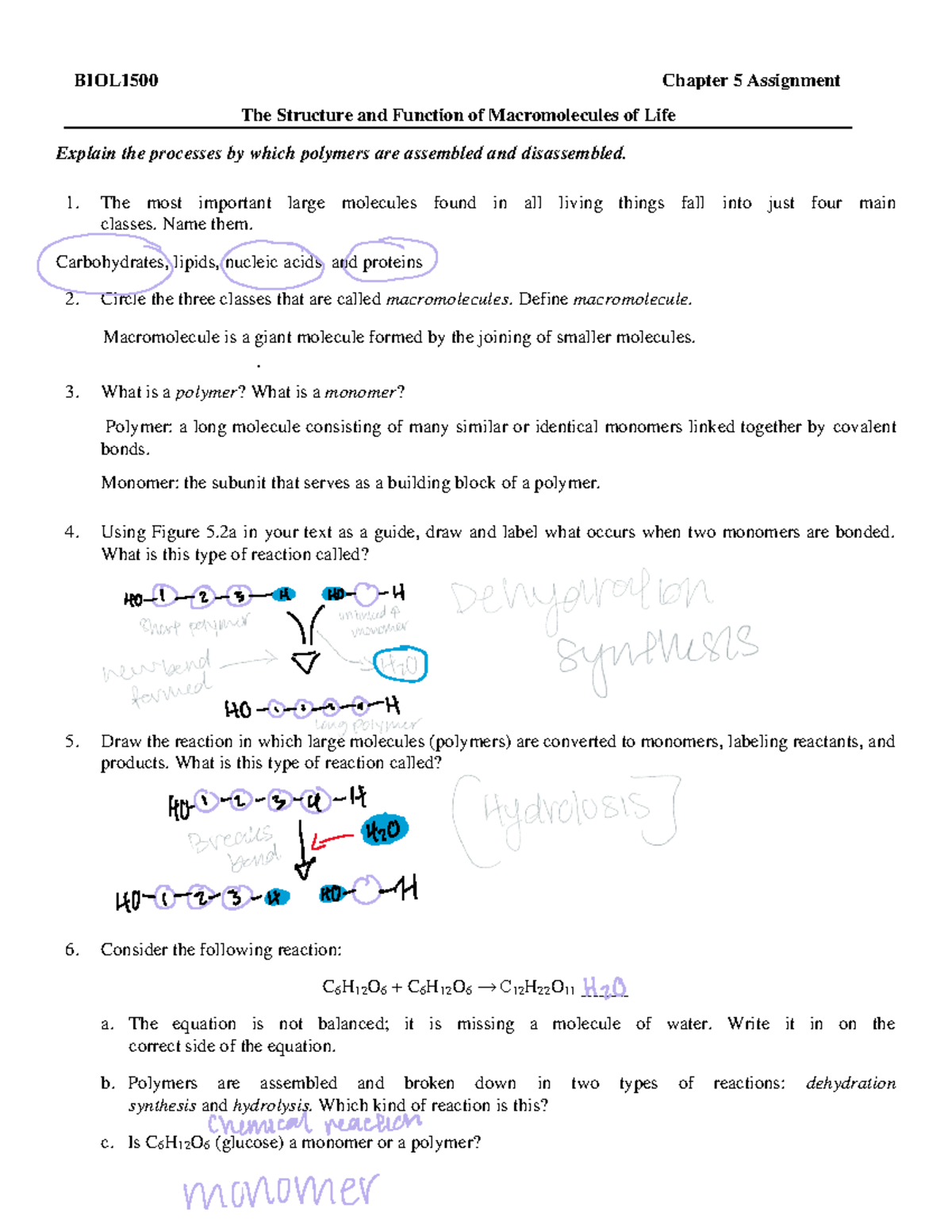 mastering biology chapter 5 homework answers