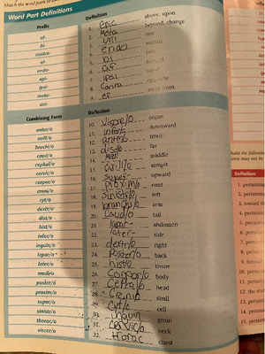 Week+4+Assignment+Worksheet - MOA115 Medical Records and Insurance Week ...
