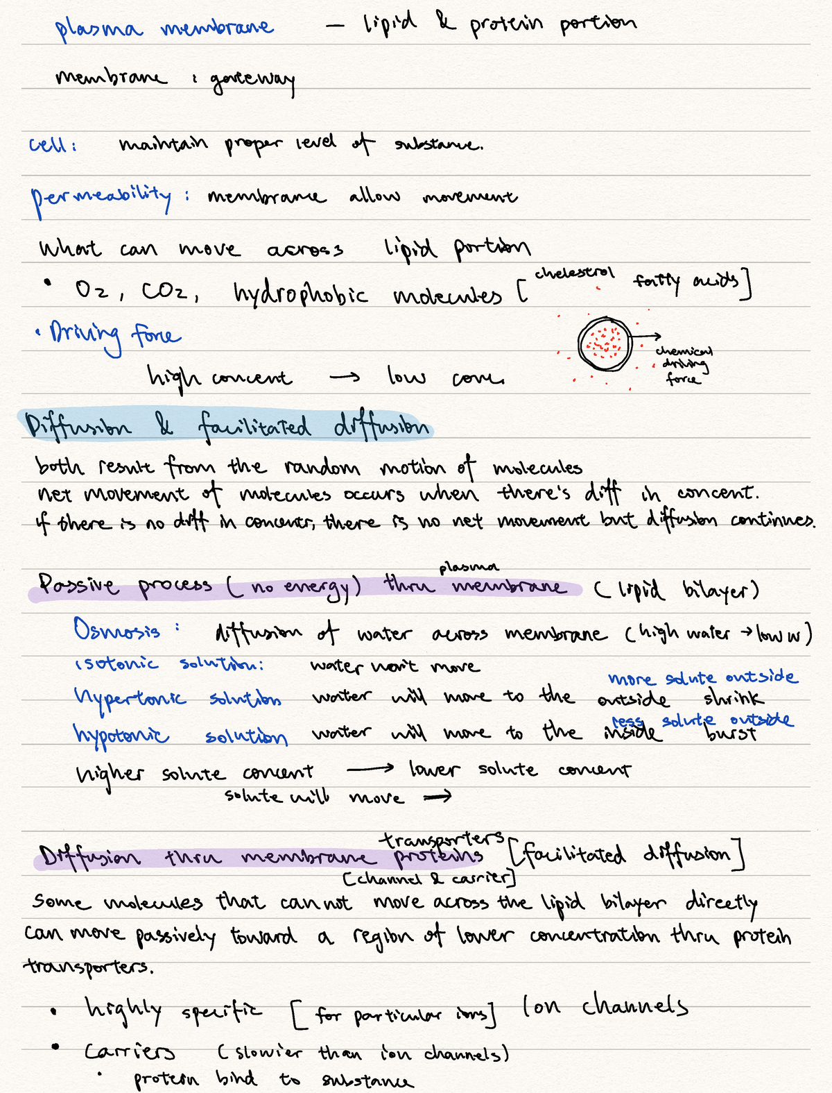 Week 2-2 Membrane transport - plasma membrane lipid protein portion ...