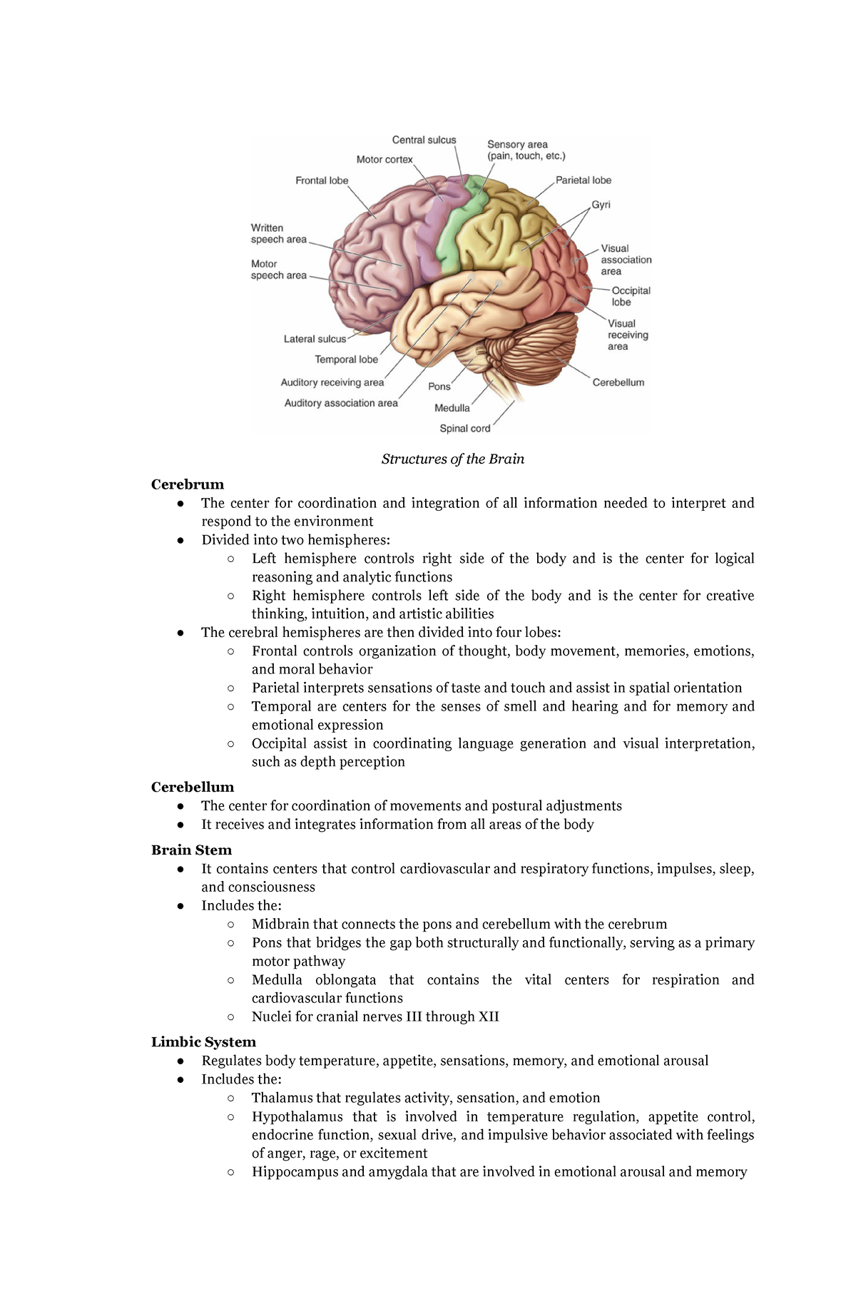 Structures of the Brain - Structures of the Brain Cerebrum The center ...