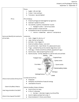 Exam 2 Review - Inner ear anatomy, auditory nerve functions - Exam 2 ...