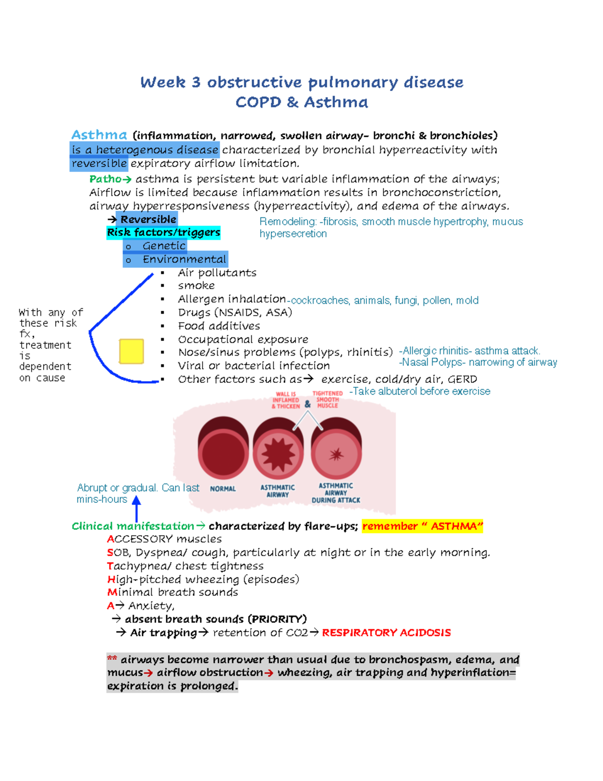 Week 3 notes pdf Med surg Week 3 obstructive pulmonary disease COPD & Asthma Asthma Studocu