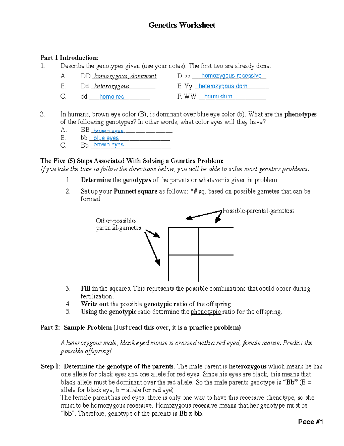 5.4.2 Genetics Worksheet practice questions - Genetics Worksheet Part 1 ...