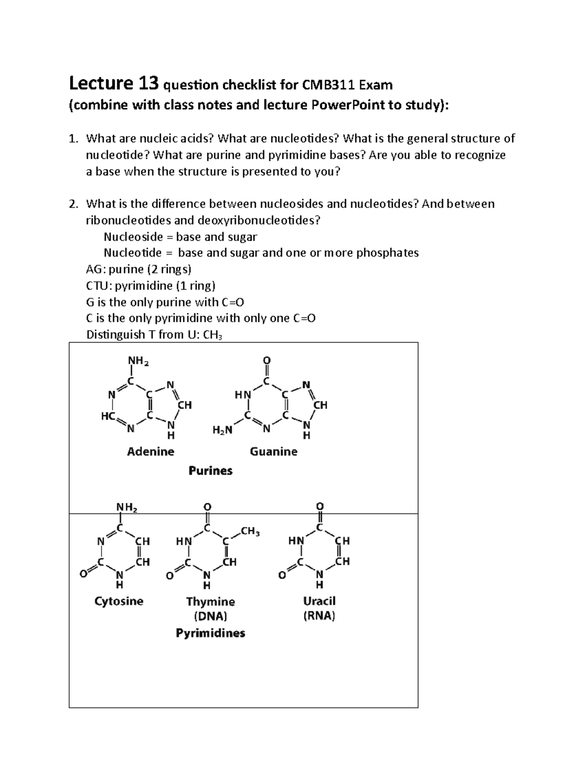 CMB311 Lecture 13 Nucleic acid structure Lecture 13 question