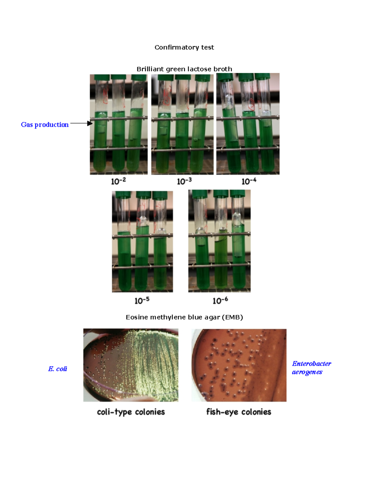 Microbiology notes 29 Confirmatory test Brilliant green lactose broth