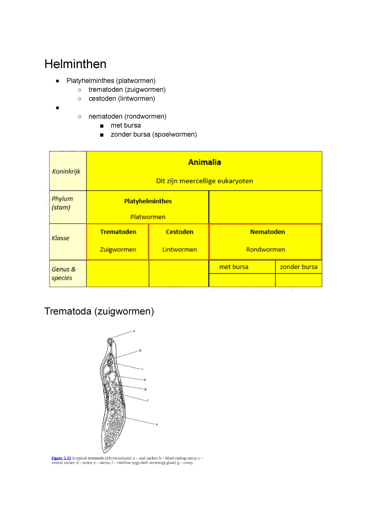 IA parasieten - Helminthen Platyhelminthes (platwormen) trematoden ...