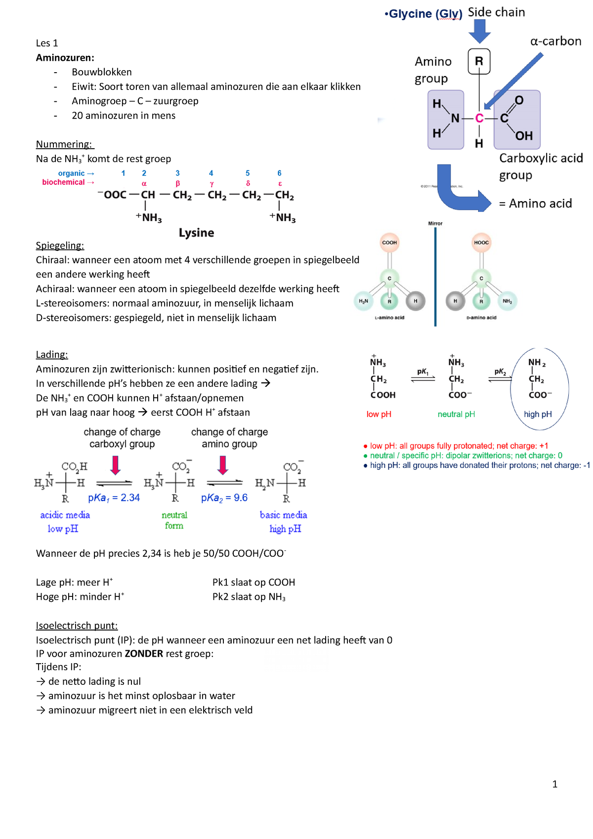 Biochemie Samenvatting Course 5 Les 1 Aminozuren Bouwblokken Eiwit Soort Toren Van 2624