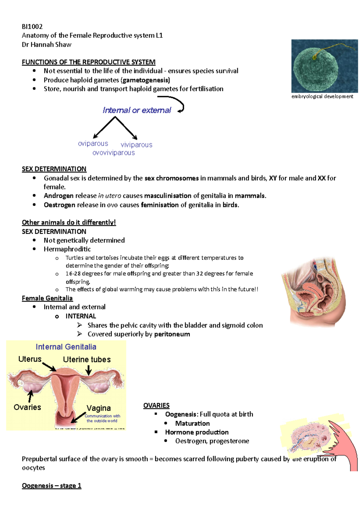 BI1002 Anatomy of the Female Reproductive system L1 Dr Hannah Shaw ...