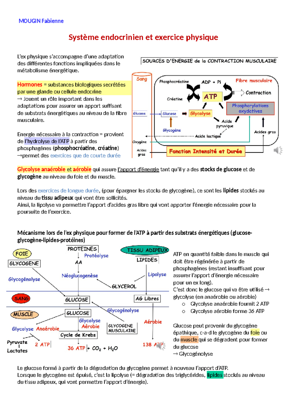 Cours système endocrinien - MOUGIN Fabienne Système endocrinien et ...