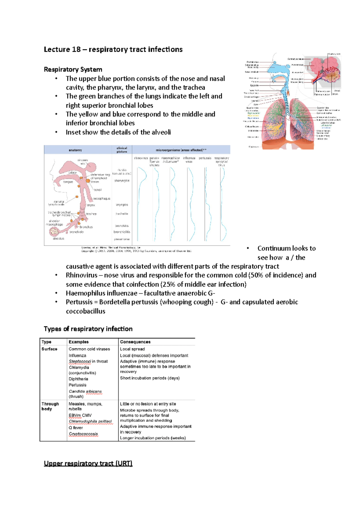 Diptheria - Lecture 18 – respiratory tract infections Respiratory ...